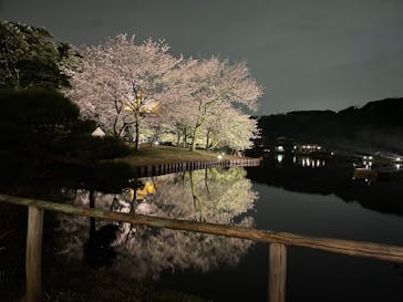 三溪園に投稿された画像（2022/3/29）