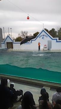しながわ水族館に投稿された画像（2022/3/29）