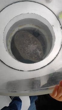 しながわ水族館に投稿された画像（2022/3/29）