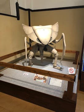 国立科学博物館　特別企画展「ポケモン化石博物館」に投稿された画像（2022/3/29）