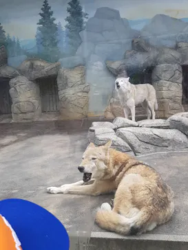 天王寺動物園に投稿された画像（2022/3/29）