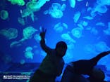 名古屋港水族館に投稿された画像（2022/3/29）