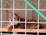 しろとり動物園に投稿された画像（2022/3/29）