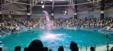 マクセル アクアパーク品川に投稿された画像（2022/3/29）