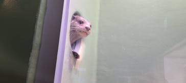 マクセル アクアパーク品川に投稿された画像（2022/3/29）