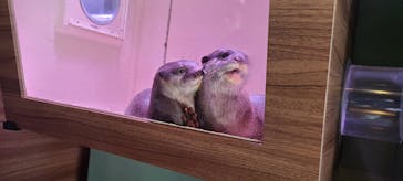 マクセル アクアパーク品川に投稿された画像（2022/3/29）