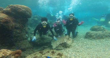 武藤潜水に投稿された画像（2022/3/29）