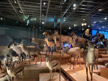 国立科学博物館に投稿された画像（2022/3/29）