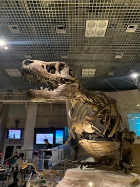 国立科学博物館に投稿された画像（2022/3/29）