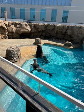 マリンワールド海の中道に投稿された画像（2022/3/29）