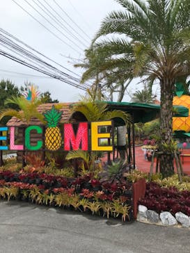 ナゴパイナップルパークに投稿された画像（2022/3/29）