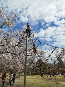 千葉こどもの国 キッズダムに投稿された画像（2022/3/29）
