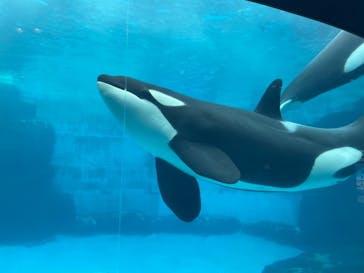 名古屋港水族館に投稿された画像（2022/3/29）