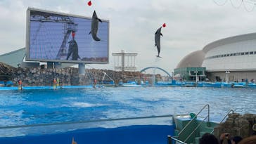 名古屋港水族館に投稿された画像（2022/3/29）