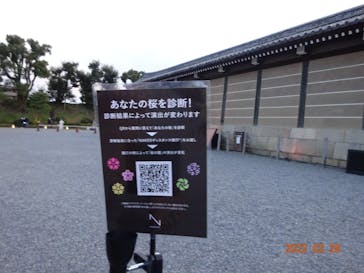 NAKED FLOWERS 2022 -桜- 世界遺産・二条城に投稿された画像（2022/3/30）