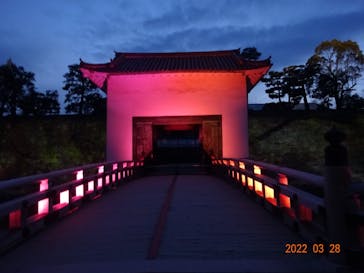 NAKED FLOWERS 2022 -桜- 世界遺産・二条城に投稿された画像（2022/3/30）