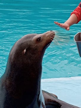 南知多ビーチランド＆南知多おもちゃ王国に投稿された画像（2022/3/30）