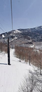 奥志賀高原スキー場に投稿された画像（2022/3/30）