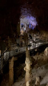 おきなわワールドに投稿された画像（2022/3/30）