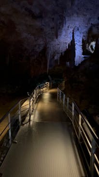 おきなわワールドに投稿された画像（2022/3/30）