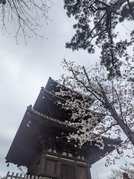 三溪園に投稿された画像（2022/3/30）