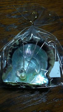 しながわ水族館に投稿された画像（2022/3/30）