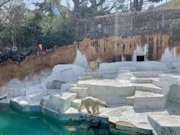 天王寺動物園に投稿された画像（2022/3/30）