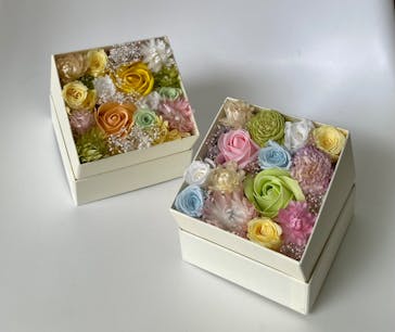 ずこうしつ〜sugamo〜に投稿された画像（2022/3/30）