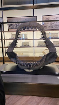 アクアワールド茨城県大洗水族館に投稿された画像（2022/3/30）