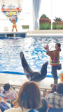 アクアワールド茨城県大洗水族館に投稿された画像（2022/3/30）