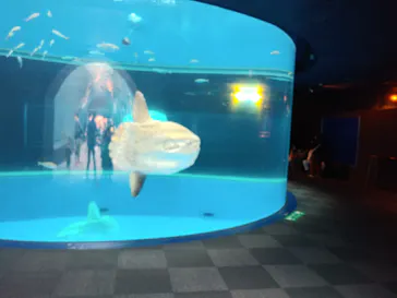 横浜・八景島シーパラダイスに投稿された画像（2022/3/30）