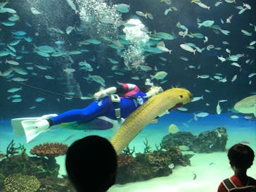 サンシャイン水族館に投稿された画像（2022/3/30）