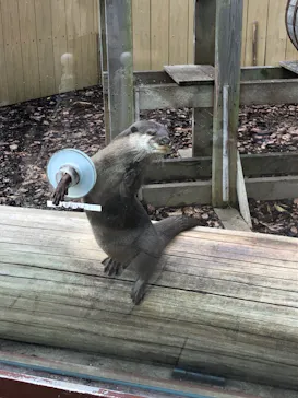 横浜・八景島シーパラダイスに投稿された画像（2022/3/30）