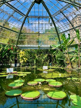 熱川バナナワニ園に投稿された画像（2022/3/30）