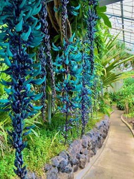 熱川バナナワニ園に投稿された画像（2022/3/30）