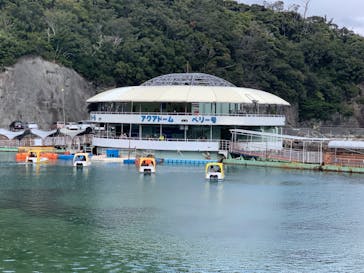 下田海中水族館に投稿された画像（2022/3/30）