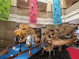 国立科学博物館　特別企画展「ポケモン化石博物館」に投稿された画像（2022/3/30）
