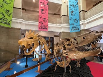 国立科学博物館　特別企画展「ポケモン化石博物館」に投稿された画像（2022/3/30）