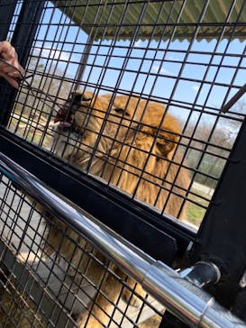 那須サファリパークに投稿された画像（2022/3/30）