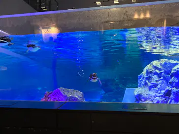 すみだ水族館に投稿された画像（2022/3/30）