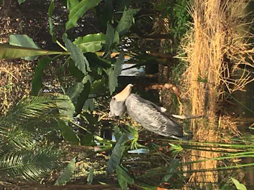 神戸どうぶつ王国に投稿された画像（2022/3/30）