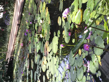 神戸どうぶつ王国に投稿された画像（2022/3/30）