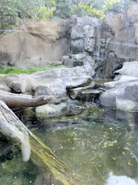 ひらかたパークに投稿された画像（2022/3/30）