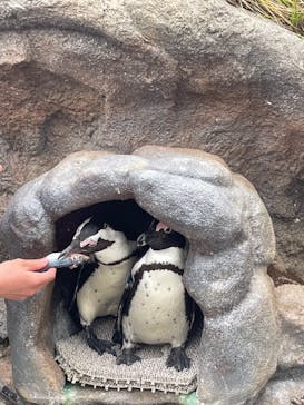 サンシャイン水族館に投稿された画像（2022/3/30）