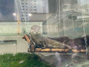 サンシャイン水族館に投稿された画像（2022/3/30）