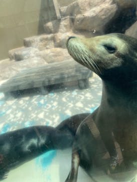 サンシャイン水族館に投稿された画像（2022/3/30）