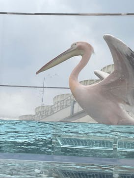 サンシャイン水族館に投稿された画像（2022/3/30）