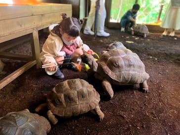 体感型動物園iZooに投稿された画像（2022/3/30）