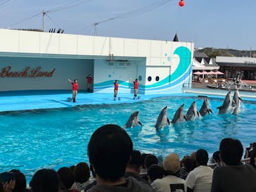 南知多ビーチランド＆南知多おもちゃ王国に投稿された画像（2022/3/30）