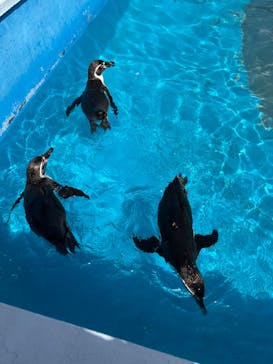 南知多ビーチランド＆南知多おもちゃ王国に投稿された画像（2022/3/30）